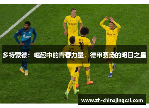 多特蒙德：崛起中的青春力量，德甲赛场的明日之星