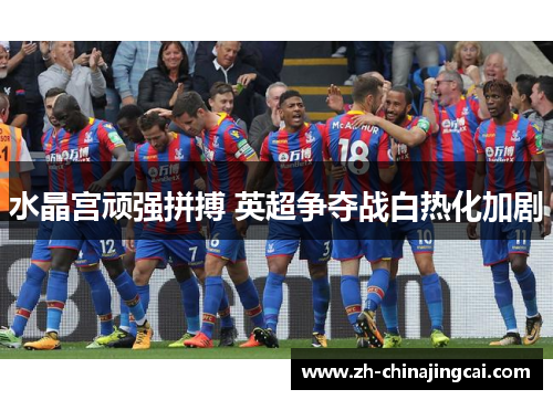 水晶宫顽强拼搏 英超争夺战白热化加剧 水晶宫顽强拼搏 英超争夺战白热化加剧